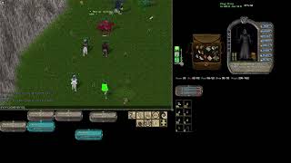 Ultima Online  Royal Uo  The Revengers 3 [upl. by Ahsiki579]