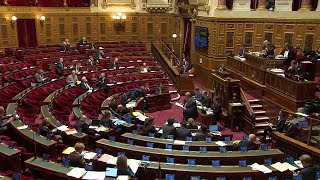 Budget 2024  le Sénat porte à trois jours le délai de carence dans la fonction publique d’État [upl. by Iglesias]