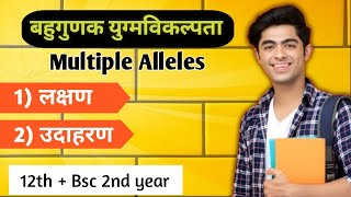 Multiple alleles Hindi बहुगुणक युग्मविकल्पता क्या है ।Multiple Allelism bsc 2nd year zoology 2024 [upl. by Jim]