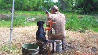 2012 UKC HRC Spring Grand  United Kennel Club [upl. by Enayd]