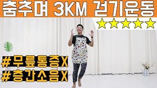 무조건 살 빠지고 따라하기 쉬운 춤 3km 걷기 다이어트 댄스 feat10kg 감량 [upl. by Daveda]