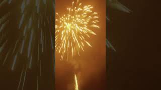 5 huge nishiki firework shells at once fireworks pyro pyrotechnics [upl. by Bruner73]