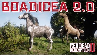 Even More Boadicea Speculation The Case For The Missouri Fox Trotter in Red Dead Redemption 2 [upl. by Gnuhn]