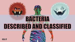 Bacteria  Described and Classified [upl. by Airpal]