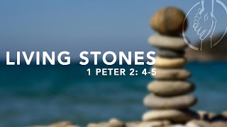 Living Stones  1Peter 245  Sermon by Brady Thornton [upl. by Brebner828]