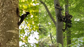 Wildlife Filmmaking Showreel 2023 I Istvan Fülöp DOP amp Filmmaker I with the Canon c70 [upl. by Gnoh635]