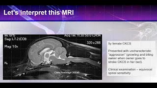 MRI interpretation of Canine Chiari and syringomyelia  from the expert [upl. by Lennor]