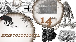 14 Kryptozoologia  Dobsegna [upl. by Eramat614]