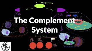 The Complement System Classical Pathway Lectin Pathway and the Alternative pathway [upl. by Areit]