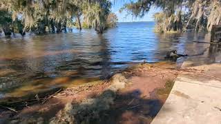 Lake Jesup Flooded Fishing Pier amp Overlook Park Further Waves Subsided Oviedo Florida [upl. by Aniarrol60]