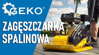 Zagęszczarka spalinowa CNP80CNP80C76KG GEKO warsztat praca poland workshop [upl. by Attegroeg]