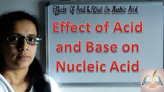 Effect of Acid and Base on Nucleic Acid Structure of DNA and RNA DNA hydroysis Rna hydrolysis [upl. by Eillek]