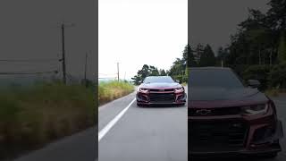 Camaro ZL1 1le supercharger whine automobile cartok camaro zl1 hellcat [upl. by Andaira223]