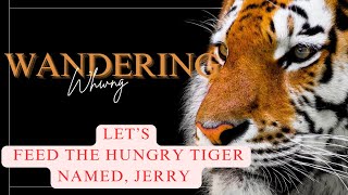 🔴 81  THE TIGER IS HUNGRY LETS FEED HIM SOME CHICKEN trending exciting exhilarating [upl. by Ades628]