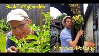 BTMG 073 The Tremendous Plantsman with Matthew Pottage [upl. by Erdnad200]