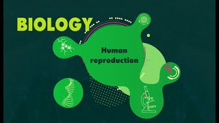 KS3 Reproduction BBC Bitesize Biology [upl. by Keviv]