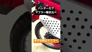 ハンターカブ の純正マフラーをヨシムラに交換したら最高の排気音に！ハンターカブ ct125 ほんだのばいく ヨシムラマフラー [upl. by Daney200]