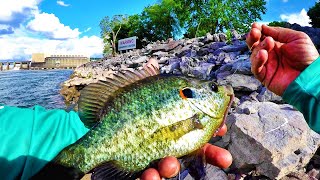 How To Catch BIG Panfish From The Bank EASY Technique [upl. by Notned]