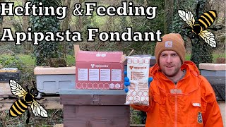 Feeding Bees Apipasta Fondant Sugar In Winter [upl. by Favian119]