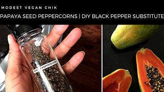 Papaya Seed Peppercorns  DIY Black Pepper Substitute [upl. by Rabiah]