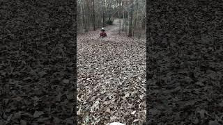 Honda trx90  six year old drifting in the leaves honda drifting atv [upl. by Etennaej]