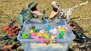 Dinosaurs Hunt 25 Ducks in Water  Dinosaur Toys For Kids [upl. by Ojyllek555]