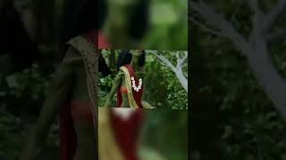 Apsara Aali🤣🤣🤣🤣🤣shortvideo youtubeshorts funny trendingshorts reels [upl. by Sinnej649]