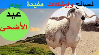 نصائح و إرشادات صحية مهمة يوم عيدالأضحى Important health Tipps and advice on Eid AlAdha [upl. by Erodavlas]