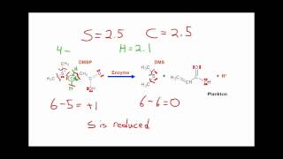 Lets Think about determining oxidation numbers from structure [upl. by Ennaerb802]