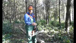 How to cross cut timber using the boring technique to prevent trapping your chainsaw [upl. by Cid214]