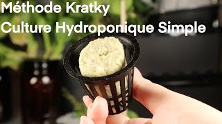 Culture Hydroponique selon la Méthode Kratky [upl. by Nate]