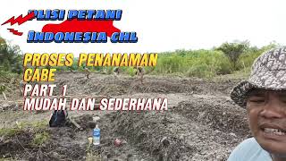 Cara Mudah dan Sederhana Bertani Cabe Bagi Pemula Episode 1viralplisipetaniindonesiachl [upl. by Eisdnil]