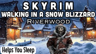 Skyrim Snow Blizzard Ambience  Relaxing Walk Around Riverwood Winter Storm  Walking In Snow ASMR [upl. by Petronia789]