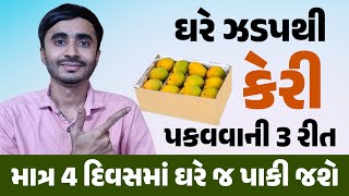 ઘરે ઝડપથી કેરી પકવવાની 3 રીત માત્ર ચાર દિવસમાં ઘરે જ પાકી જશે All information about indian mangoes [upl. by Rexfourd240]