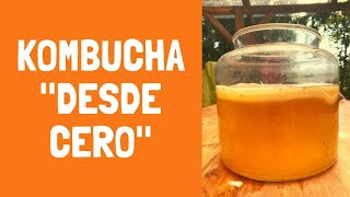 KOMBUCHA DESDE CERO  la guía completa [upl. by Itnava]