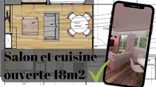 Un salon avec cuisine ouverte sur 18m2  2 exemples d’aménagement d’intérieur [upl. by Nahamas]