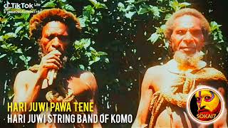 HARI JUWI STRING BAND  Hari Juwi Pawa Tene 2024 Music Video [upl. by Dnalro]