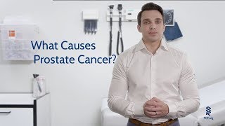 What Causes Prostate Cancer [upl. by Ern954]