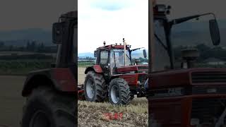 Case International 1455 XL tractorlover tractorworld caseih international tractor farming fyp [upl. by Zullo]