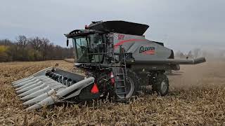 Gleaner S97 Centennial Edition Ohio Corn Harvest [upl. by Giardap610]