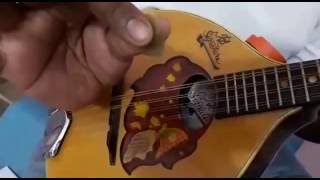 Mandolin 1st lession for absulte beginners [upl. by Neliak]