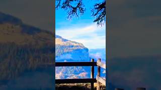 Viewpoint above Wengen Switzerland wengen placetogo panoramicview discoverswitzerland shorts [upl. by Ennirak]