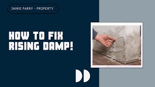 Damp Proofing  How to fix rising damp [upl. by Gnil]