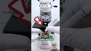 Tembakau rokok di lihat dari microskope microscope rokok fyp shorts reaction viralvideo [upl. by Dier]