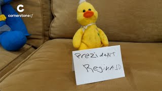 Reginald is Running For President 🐤  Hey Mr Phil  September 15 2024 [upl. by Elstan]