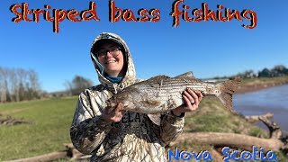 Striped bass fishing East Hants NS [upl. by Yffat232]