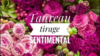 💓 Taureau ♉️ tirage sentimental novembre 2024 💓 [upl. by Ecnarepmet]