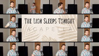 The Lion Sleeps Tonight ACAPELLA [upl. by Benedikt648]