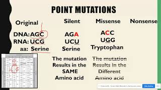 Substitution amp Frameshift Mutations AP Biology Topic 67 [upl. by Kora]