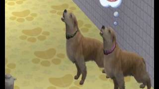 Balto howl sims 2 pets style [upl. by Esilrahc]